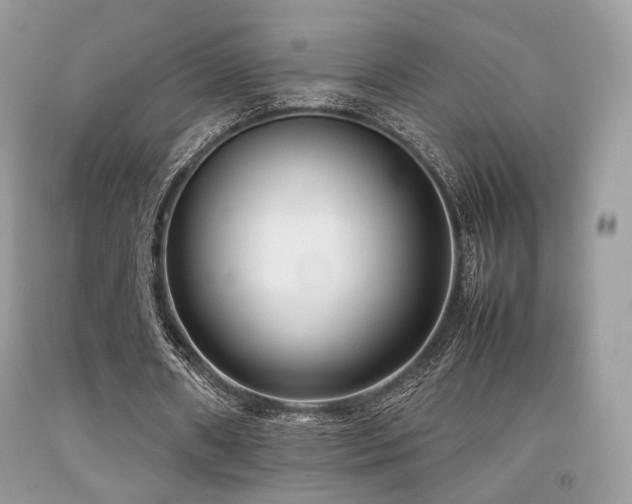X0000092250482200709141151