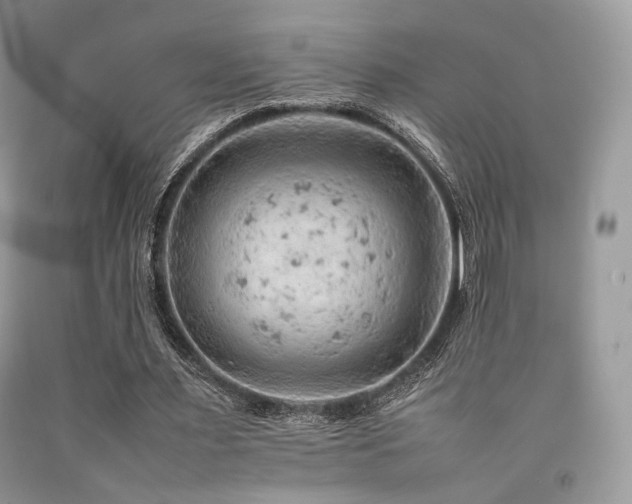 X0000092250483200709141151