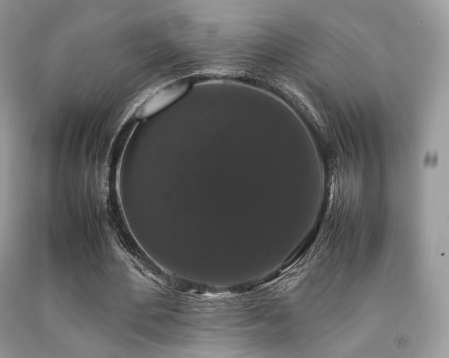 X0000092250484200709141151