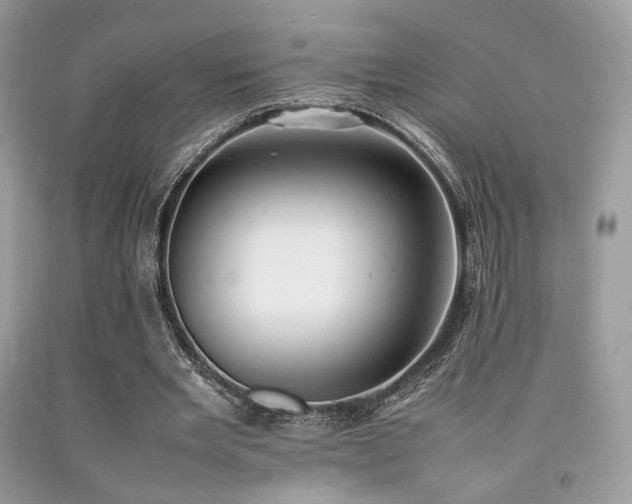 X0000092250485200709141151