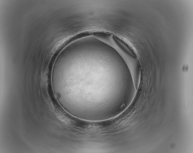 X0000092250487200709141151