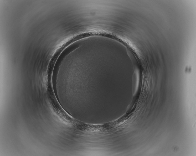 X0000092250488200709141151