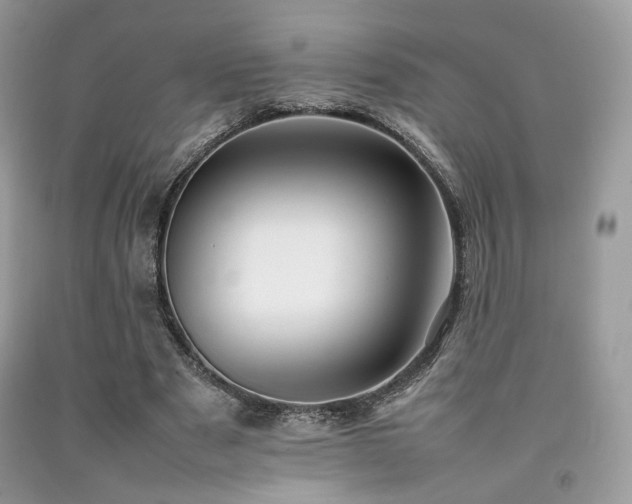 X0000092250489200709141151