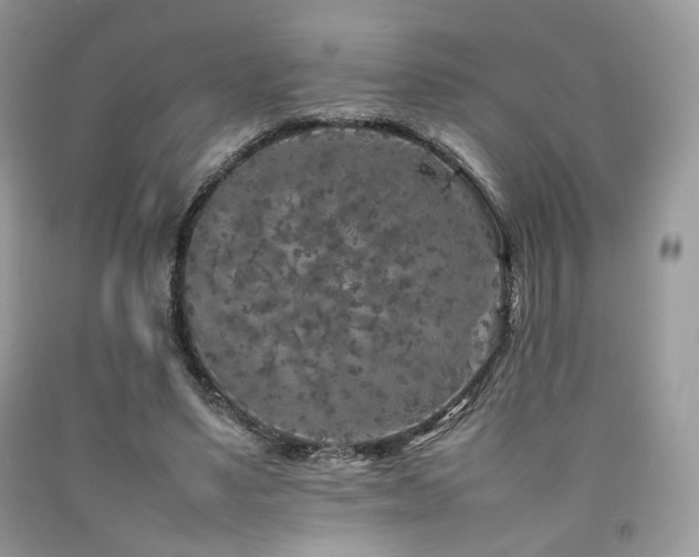 X0000092250491200709141151
