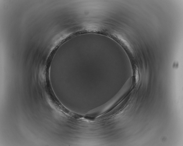 X0000092250492200709141151