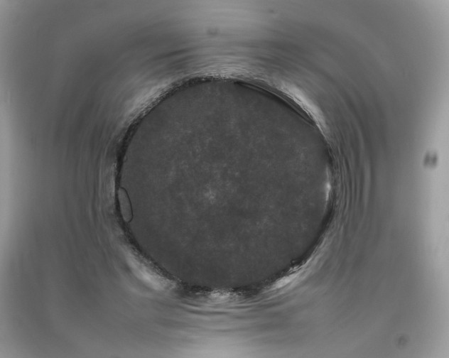 X0000092250493200709141151