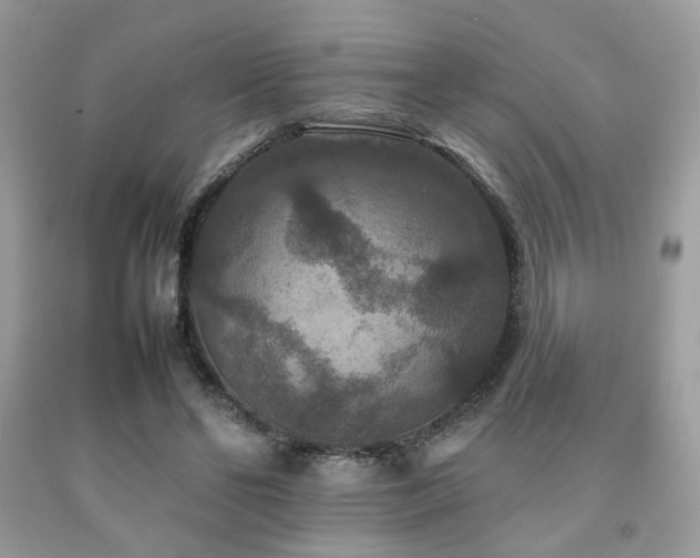 X0000092250494200709141151
