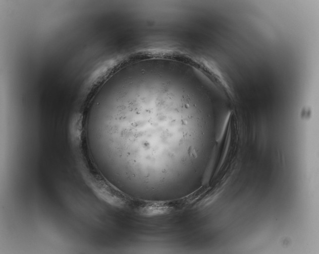 X0000092250495200709141151