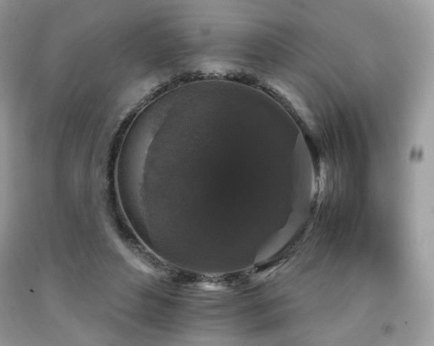 X0000092250496200709141151