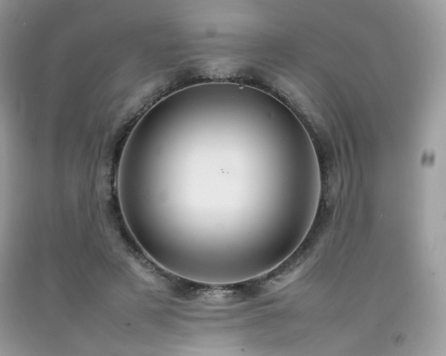 X0000092250497200709141151
