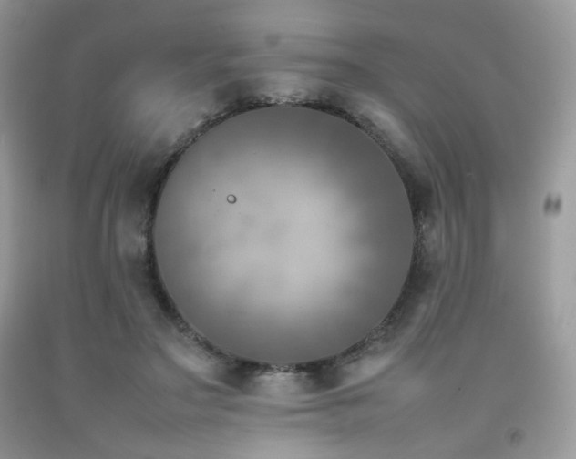 X0000092250499200709141151