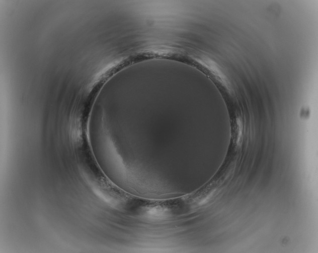 X0000092250500200709141151
