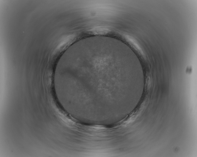 X0000092250501200709141151