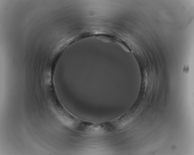 X0000092250502200709141151