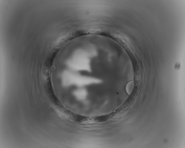X0000092250503200709141151