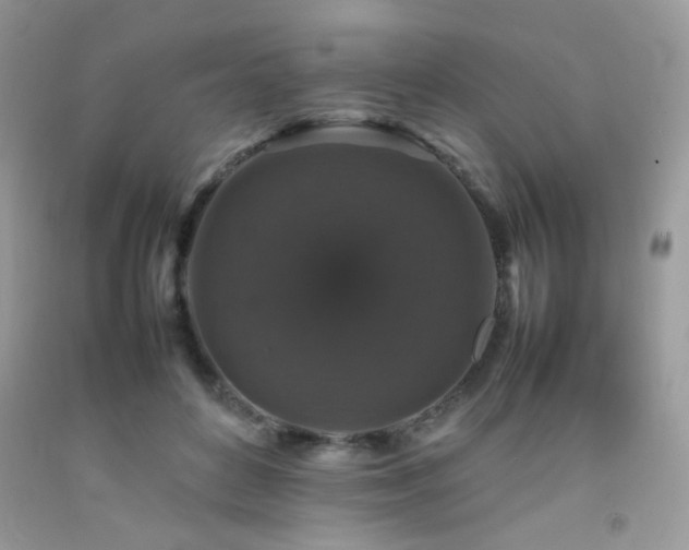 X0000092250504200709141151
