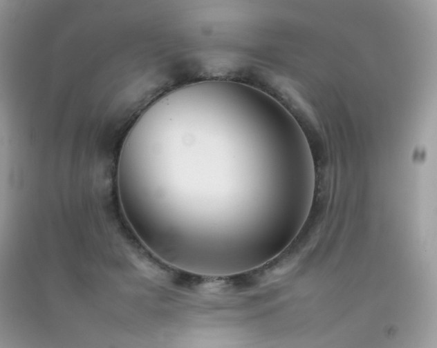 X0000092250505200709141151