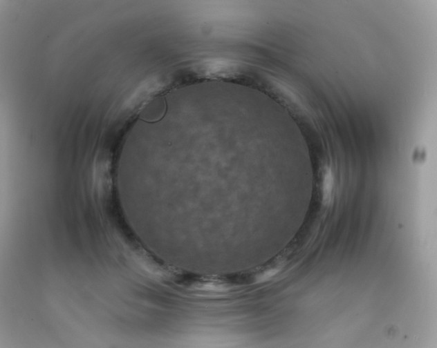 X0000092250506200709141151