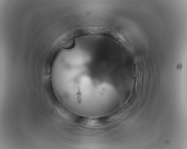 X0000092250507200709141151