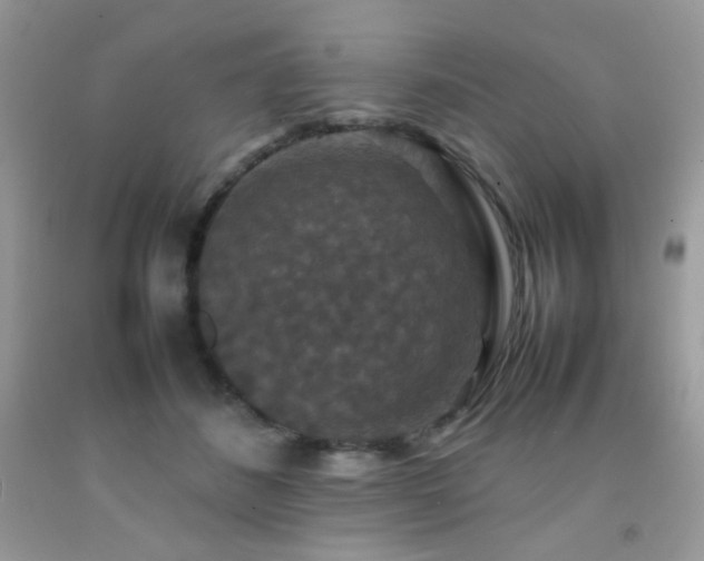 X0000092250508200709141151