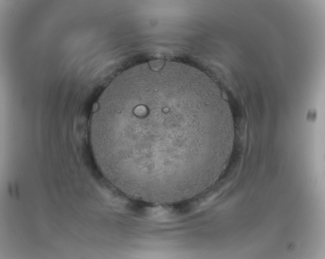 X0000092250511200709141151