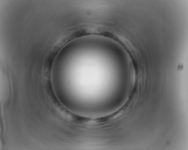 X0000092250513200709141151