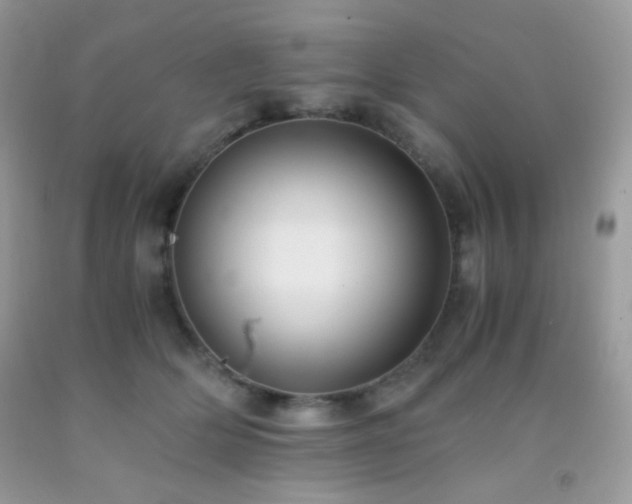 X0000092250514200709141151