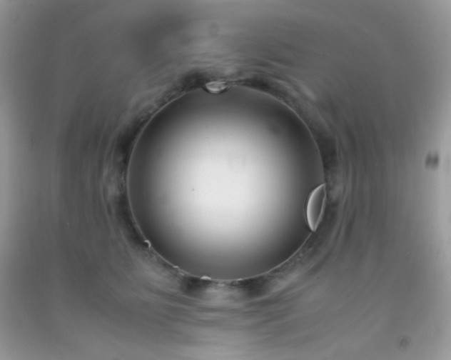 X0000092250515200709141151