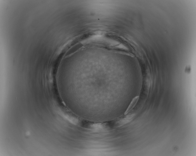 X0000092250516200709141151
