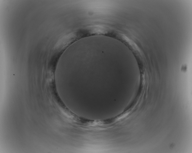 X0000092250517200709141151