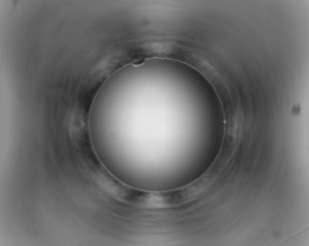 X0000092250518200709141151