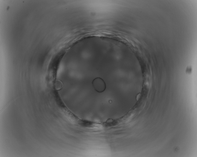 X0000092250519200709141151