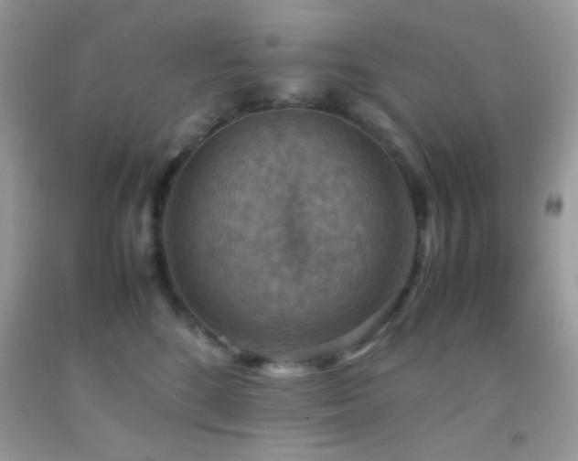 X0000092250520200709141151