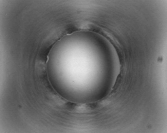X0000092250521200709141151