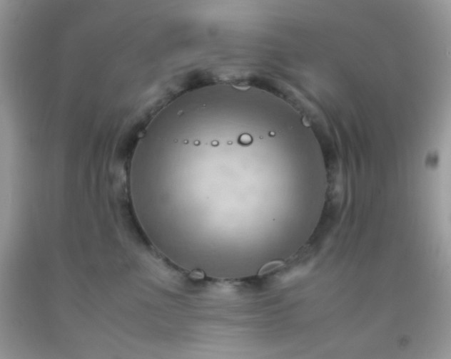 X0000092250523200709141151