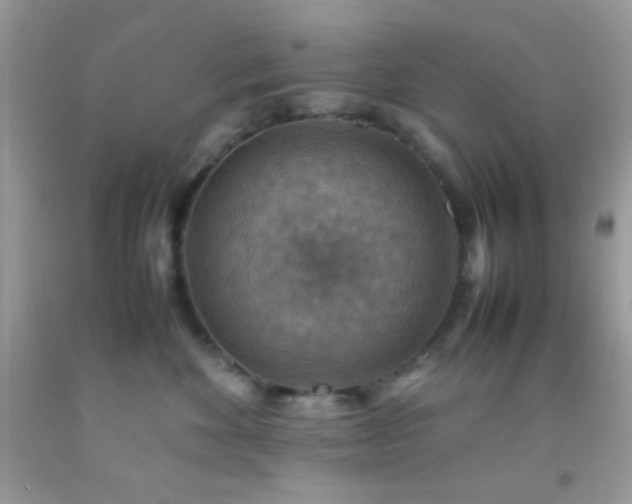 X0000092250524200709141151