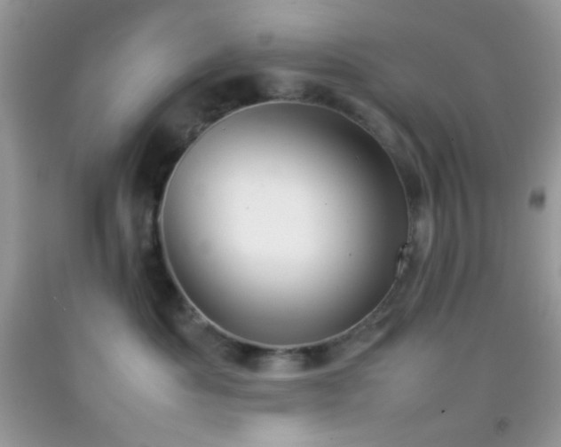 X0000092250525200709141151