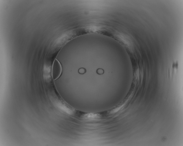 X0000092250526200709141151