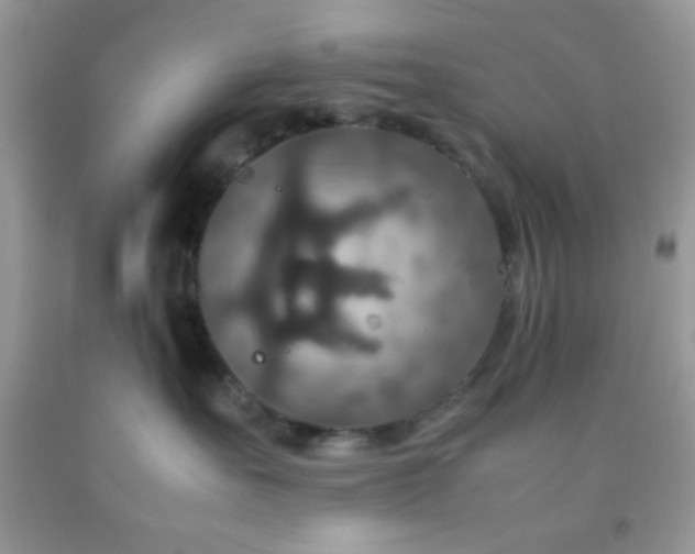 X0000092250527200709141151