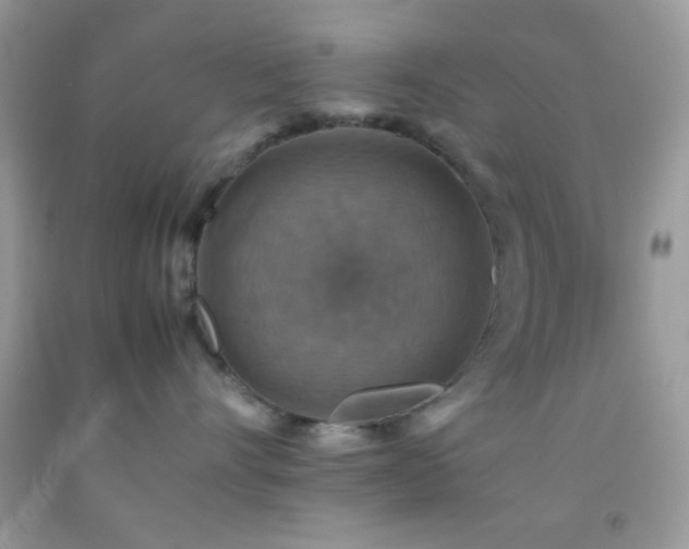 X0000092250528200709141151