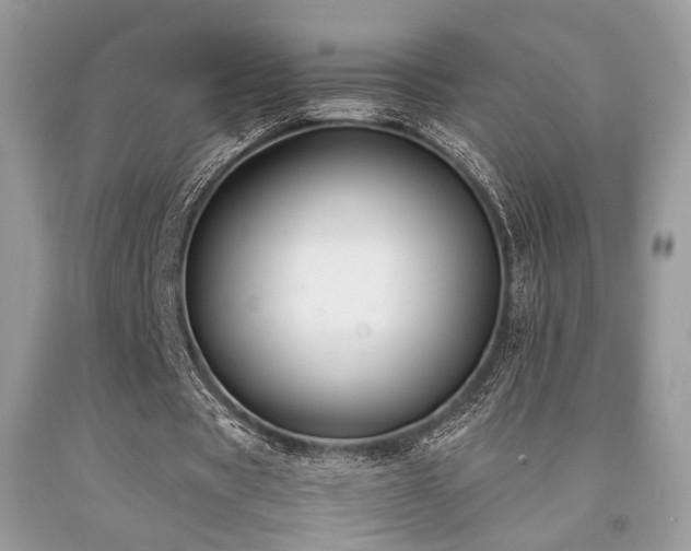 X0000092250529200709141150