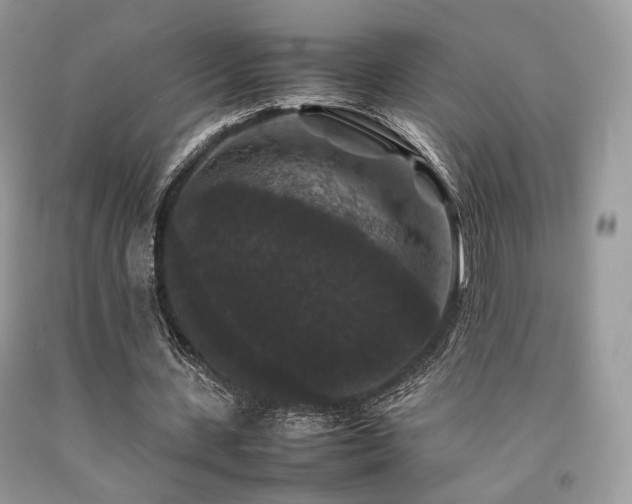 X0000092250531200709141150