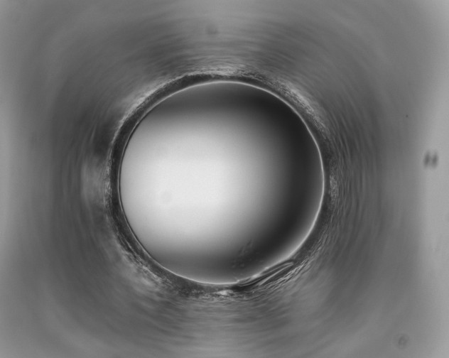 X0000092250532200709141150