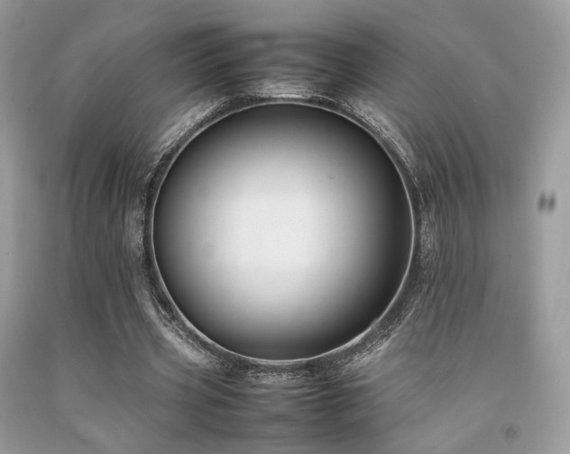 X0000092250533200709141150