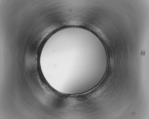 X0000092250534200709141150