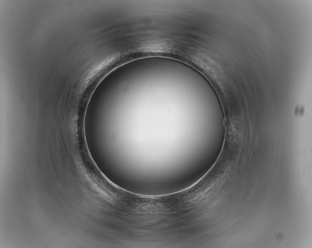 X0000092250535200709141150