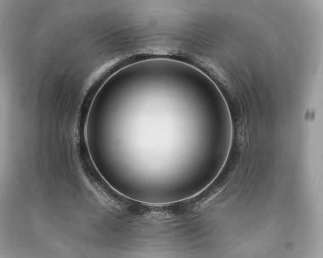 X0000092250536200709141150