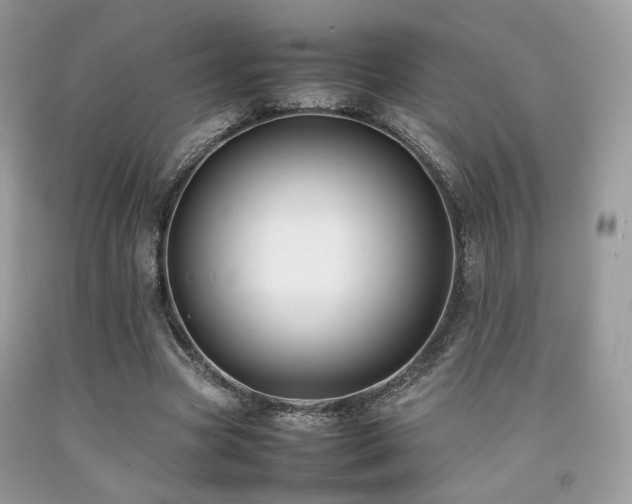 X0000092250537200709141150