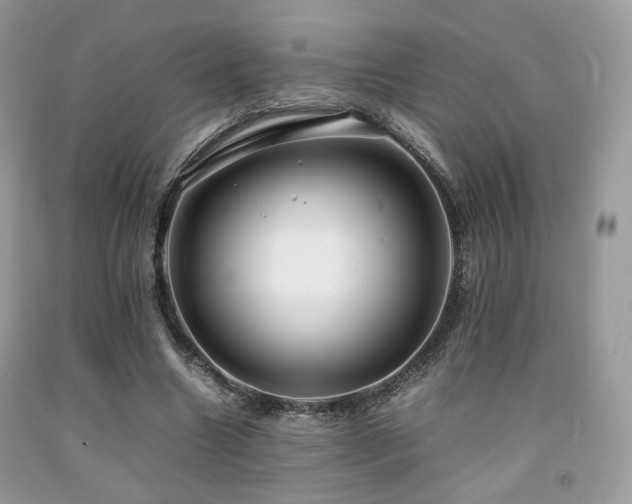 X0000092250538200709141150