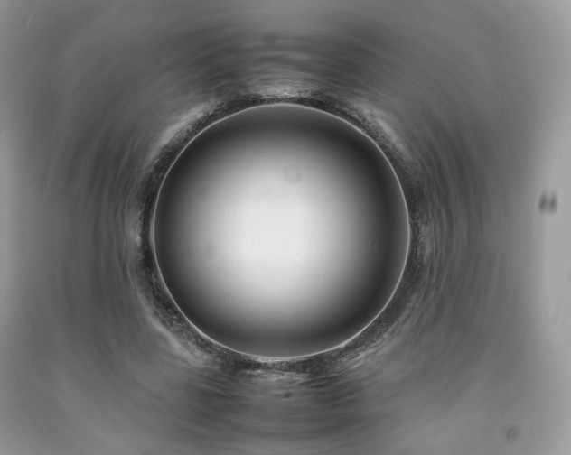X0000092250539200709141150